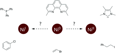 Graphical abstract: Reactions of nickel(0) with organochlorides, organobromides, and organoiodides: mechanisms and structure/reactivity relationships