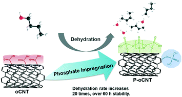 Graphical abstract: Dehydration of n-butanol on phosphate-modified carbon nanotubes: active site and intrinsic catalytic activity