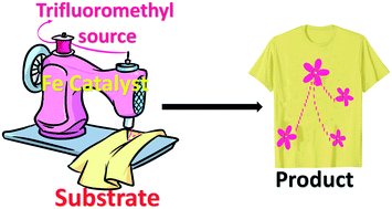 Graphical abstract: Recent advances and prospects in the iron-catalyzed trifluoromethylation reactions