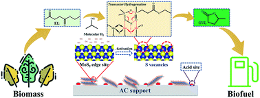 Graphical abstract: Catalytic transfer hydrogenation of ethyl levulinate to γ-valerolactone over supported MoS2 catalysts