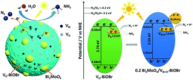Graphical abstract: Boosted photocatalytic nitrogen fixation by bismuth and oxygen vacancies in Bi2MoO6/BiOBr composite structures