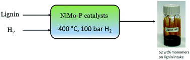 Graphical abstract: Efficient depolymerization of lignins to alkylphenols using phosphided NiMo catalysts