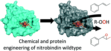 Graphical abstract: Chemogenetic engineering of nitrobindin toward an artificial epoxygenase