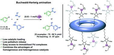 Graphical abstract: Benzyloxycalix[8]arene supported Pd–NHC cinnamyl complexes for Buchwald–Hartwig C–N cross-couplings