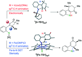 Graphical abstract: Mechanistic and chemoselective insights on sp3- and sp2-C–H bond aminations: Fe- vs. Ir-based catalysis