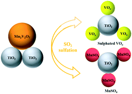 Graphical abstract: The effect of SO2 on the structural evolution of a supported Mn2V2O7 catalyst and its DeNOx performance