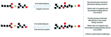 Graphical abstract: Solvent-free esterifications mediated by immobilized lipases: a review from thermodynamic and kinetic perspectives