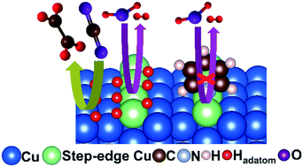 Graphical abstract: Inhibition of hydrogen evolution without debilitating electrochemical CO2 reduction via the local suppression of proton concentration and blocking of step-edges by pyridine functionalization on Cu electrocatalysts