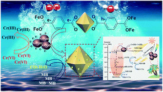 Graphical abstract: Biomass-based 0D/3D N-CQD/MIL-53(Fe) photocatalyst for the simultaneous remediation of multiple hazardous pollutants in sewage