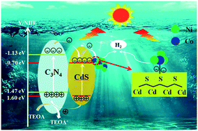Graphical abstract: The synergy of photodeposited CoNi co-catalysts for the photocatalytic performance of C3N4/CdS nanosheets: optimized Gibbs free energy and Co–S bridging bonds