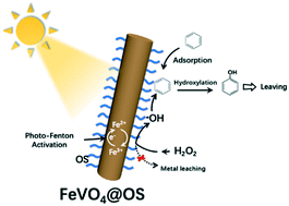 Graphical abstract: Photocatalytic hydroxylation of benzene to phenol over organosilane-functionalized FeVO4 nanorods