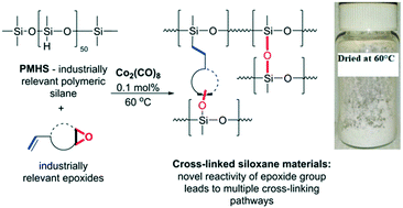 Graphical abstract: Co2(CO)8 and unsaturated epoxides as unexpected partners in generating functionalized siloxane oils and cross-linked materials