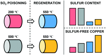 Graphical abstract: Insights into sulfur poisoning and regeneration of Cu-SSZ-13 catalysts: in situ Cu and S K-edge XAS studies