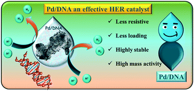 Graphical abstract: DNA-based low resistance palladium nano-spheres for effective hydrogen evolution reaction