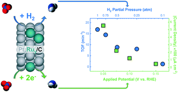 Graphical abstract: Comparing electrocatalytic and thermocatalytic conversion of nitrate on platinum–ruthenium alloys