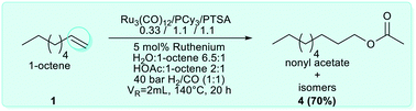 Graphical abstract: Ruthenium-catalysed domino hydroformylation–hydrogenation–esterification of olefins
