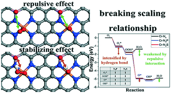 Graphical abstract: Breaking the scaling relationship of ORR on carbon-based single-atom catalysts through building a local collaborative structure