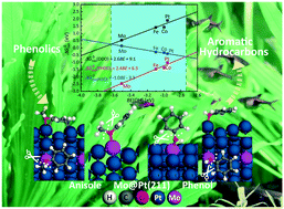 Graphical abstract: Stepped M@Pt(211) (M = Co, Fe, Mo) single-atom alloys promote the deoxygenation of lignin-derived phenolics: mechanism, kinetics, and descriptors