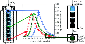 Graphical abstract: Accumulation and distribution of higher hydrocarbons in the pores of a cobalt catalyst during low-temperature Fischer–Tropsch fixed-bed synthesis