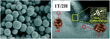 Graphical abstract: Controlling 1T/2H heterophase junctions in the MoS2 microsphere for the highly efficient photocatalytic hydrogen evolution