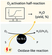 Graphical abstract: Quantitative evaluation of O2 activation half-reaction for Fe–N–C in oxidase-like activity enhancement
