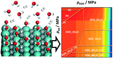 Graphical abstract: The surface phase structure evolution of the fcc MoC (001) surface in a steam reforming atmosphere: systematic kinetic and thermodynamic investigations