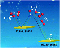 Graphical abstract: The enzymatic performance derived from the lattice planes of Ir nanoparticles