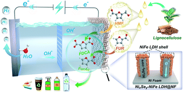 Graphical abstract: Grass-like NixSey nanowire arrays shelled with NiFe LDH nanosheets as a 3D hierarchical core–shell electrocatalyst for efficient upgrading of biomass-derived 5-hydroxymethylfurfural and furfural