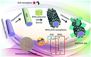 Graphical abstract: Polydopamine assisted transformation of ZnO from nanospheres to nanosheets grown in nanoporous BiVO4 films for improved photocatalytic performance