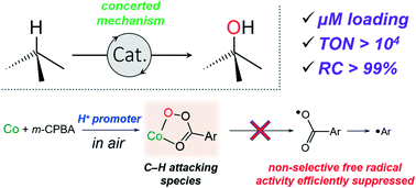 Graphical abstract: Homogeneous oxidation of C–H bonds with m-CPBA catalysed by a Co/Fe system: mechanistic insights from the point of view of the oxidant