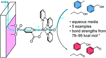 Graphical abstract: Electrochemical ruthenium-catalysed C–H activation in water through heterogenization of a molecular catalyst