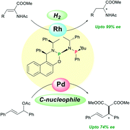 Graphical abstract: Betti base derived P-stereogenic phosphine-diamidophosphite ligands with a single atom spacer and their application in asymmetric catalysis