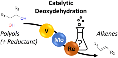 Graphical abstract: Transition metal-catalyzed deoxydehydration: missing pieces of the puzzle
