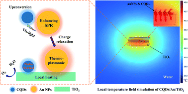 Graphical abstract: Investigation of the local photothermal effects by fabricating a CQDs/Au/TiO2 photoelectrode in a PEC water splitting system