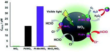 Graphical abstract: Enhanced HClO production from chloride by dual cocatalyst loaded WO3 under visible light