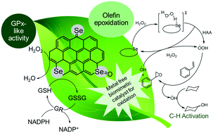 Graphical abstract: Peroxide activation by selenium-doped graphite