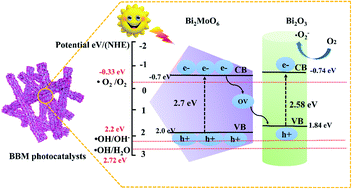 Graphical abstract: Oxygen-vacancy-mediated photocatalytic degradation of tetracycline under weak visible-light irradiation over hierarchical Bi2MoO6@Bi2O3 core–shell fibers