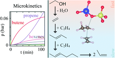 Graphical abstract: Theoretical investigation of the olefin cycle in H-SSZ-13 for the ethanol-to-olefins process using ab initio calculations and kinetic modeling