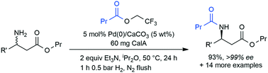 Graphical abstract: In depth analysis of heterogeneous catalysts for the chemoenzymatic dynamic kinetic resolution of β-amino esters