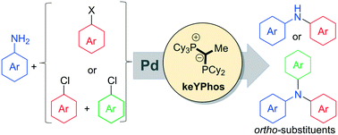 Graphical abstract: Synthesis of sterically encumbered di- and triarylamines by palladium-catalysed C–N coupling reactions under mild reaction conditions