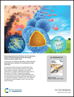 Graphical abstract: Back cover