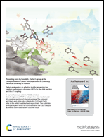 Graphical abstract: Back cover