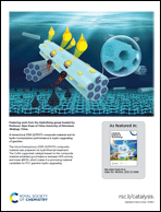 Graphical abstract: Back cover