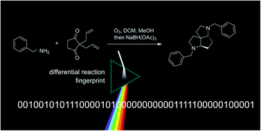 Graphical abstract: Reaction classification and yield prediction using the differential reaction fingerprint DRFP