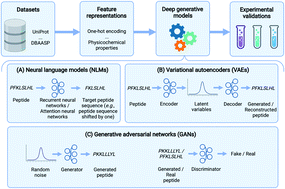 Graphical abstract: Deep generative models for peptide design