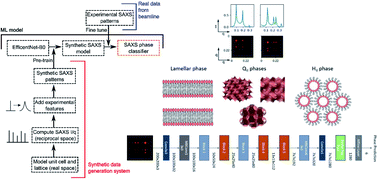 Graphical abstract: Machine learning platform for determining experimental lipid phase behaviour from small angle X-ray scattering patterns by pre-training on synthetic data