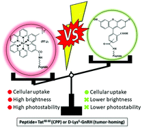 Graphical abstract: Development of novel GnRH and Tat48–60 based luminescent probes with enhanced cellular uptake and bioimaging profile