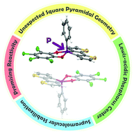 Graphical abstract: Structure-reactivity studies on hypervalent square-pyramidal dithieno[3,2-b:2′,3′-d]phospholes