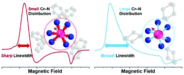 Graphical abstract: Ligand control of low-frequency electron paramagnetic resonance linewidth in Cr(iii) complexes