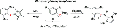 Graphical abstract: Reactivity of phospha–Wittig reagents towards NHCs and NHOs